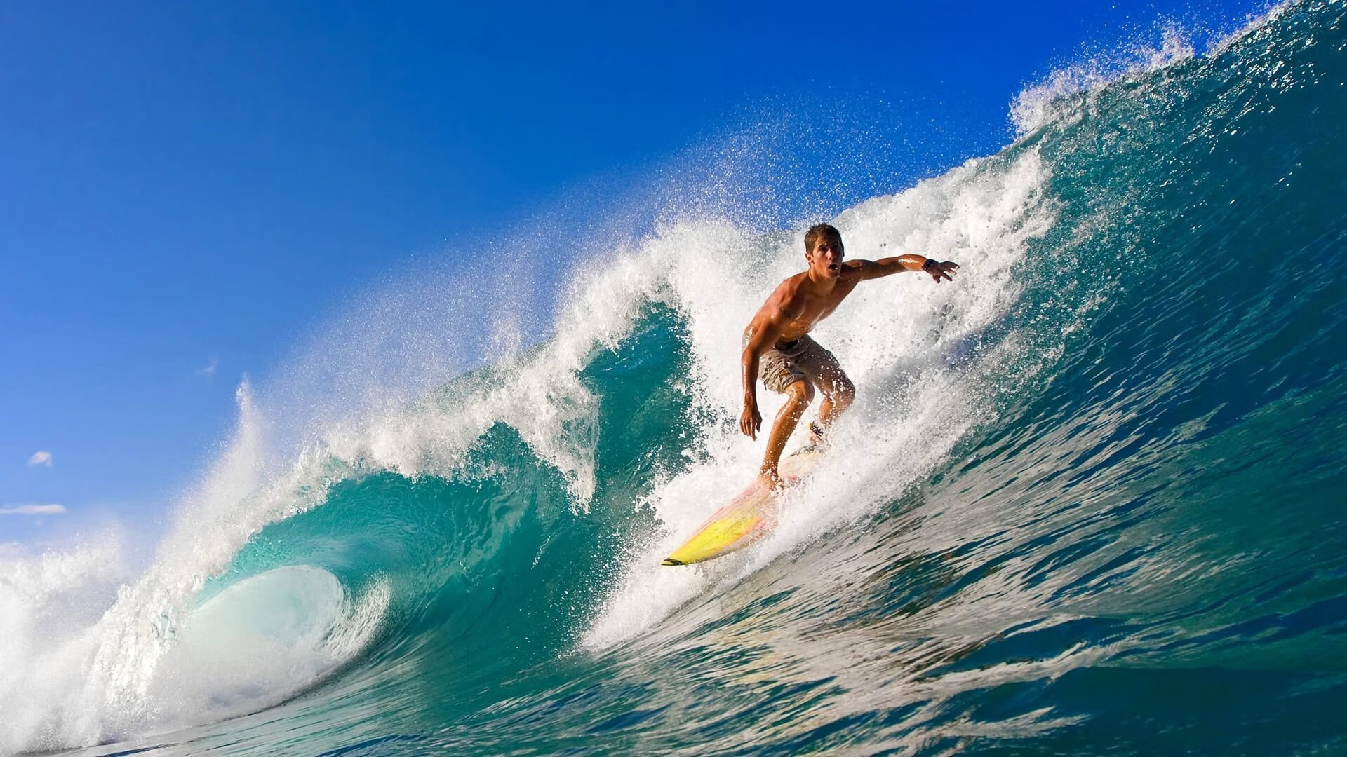 女足世界杯观众参与度创历史新高,女足世界杯关注度